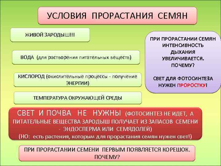 УСЛОВИЯ ПРОРАСТАНИЯ СЕМЯН ЖИВОЙ ЗАРОДЫШ!!! ВОДА (для растворения питательных веществ) КИСЛОРОД (окислительные процессы -