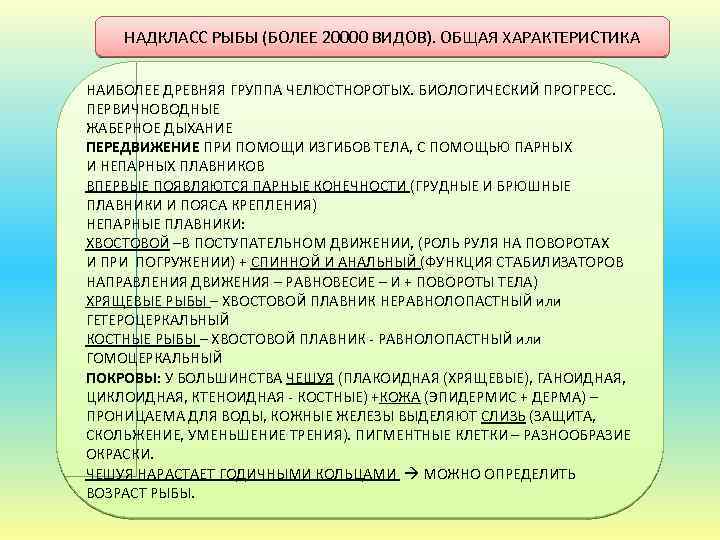 НАДКЛАСС РЫБЫ (БОЛЕЕ 20000 ВИДОВ). ОБЩАЯ ХАРАКТЕРИСТИКА НАИБОЛЕЕ ДРЕВНЯЯ ГРУППА ЧЕЛЮСТНОРОТЫХ. БИОЛОГИЧЕСКИЙ ПРОГРЕСС. ПЕРВИЧНОВОДНЫЕ