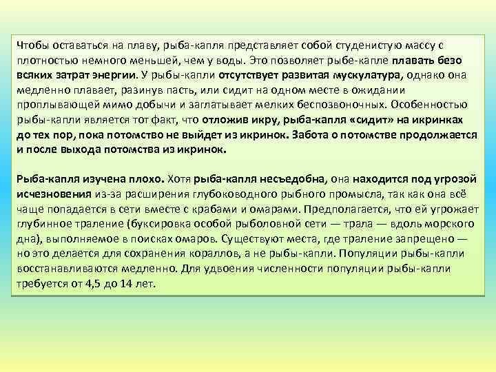 Чтобы оставаться на плаву, рыба-капля представляет собой студенистую массу с плотностью немного меньшей, чем