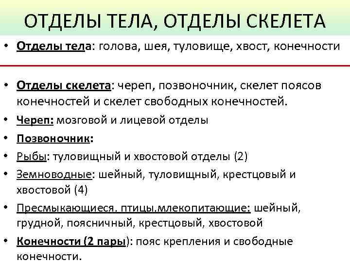 ОТДЕЛЫ ТЕЛА, ОТДЕЛЫ СКЕЛЕТА • Отделы тела: голова, шея, туловище, хвост, конечности • Отделы