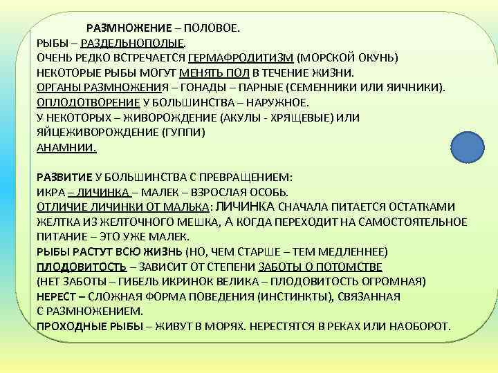 РАЗМНОЖЕНИЕ – ПОЛОВОЕ. РЫБЫ – РАЗДЕЛЬНОПОЛЫЕ. ОЧЕНЬ РЕДКО ВСТРЕЧАЕТСЯ ГЕРМАФРОДИТИЗМ (МОРСКОЙ ОКУНЬ) НЕКОТОРЫЕ РЫБЫ