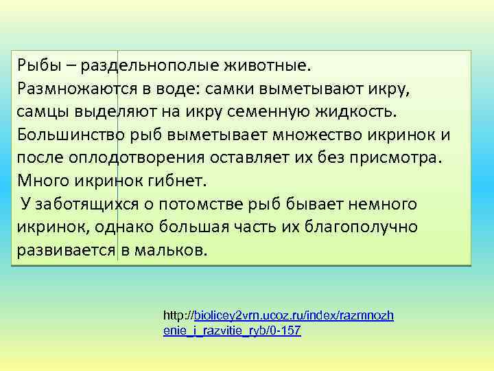 Рыбы – раздельнополые животные. Размножаются в воде: самки выметывают икру, самцы выделяют на икру