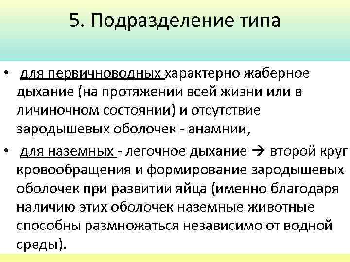 5. Подразделение типа • для первичноводных характерно жаберное дыхание (на протяжении всей жизни или