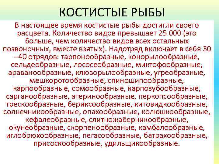 КОСТИСТЫЕ РЫБЫ В настоящее время костистые рыбы достигли своего расцвета. Количество видов превышает 25