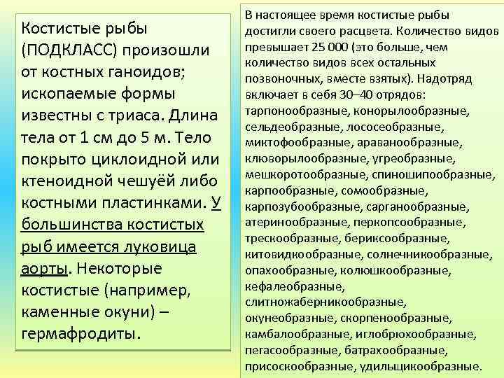 Костистые рыбы (ПОДКЛАСС) произошли от костных ганоидов; ископаемые формы известны с триаса. Длина тела