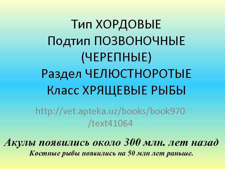 Тип ХОРДОВЫЕ Подтип ПОЗВОНОЧНЫЕ (ЧЕРЕПНЫЕ) Раздел ЧЕЛЮСТНОРОТЫЕ Класс ХРЯЩЕВЫЕ РЫБЫ http: //vet. apteka. uz/books/book