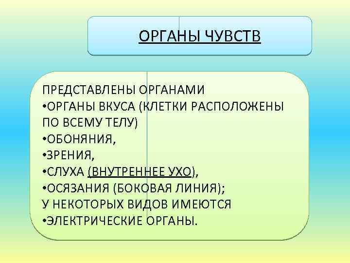 ОРГАНЫ ЧУВСТВ ПРЕДСТАВЛЕНЫ ОРГАНАМИ • ОРГАНЫ ВКУСА (КЛЕТКИ РАСПОЛОЖЕНЫ ПО ВСЕМУ ТЕЛУ) • ОБОНЯНИЯ,