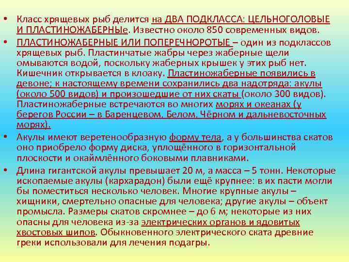  • Класс хрящевых рыб делится на ДВА ПОДКЛАССА: ЦЕЛЬНОГОЛОВЫЕ И ПЛАСТИНОЖАБЕРНЫе. Известно около