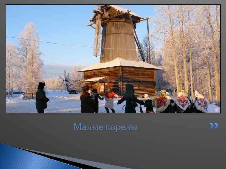 Малые корелы 