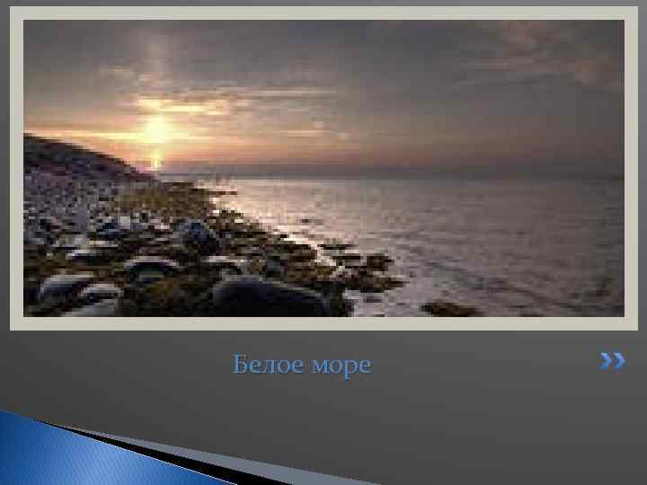 Белое море 