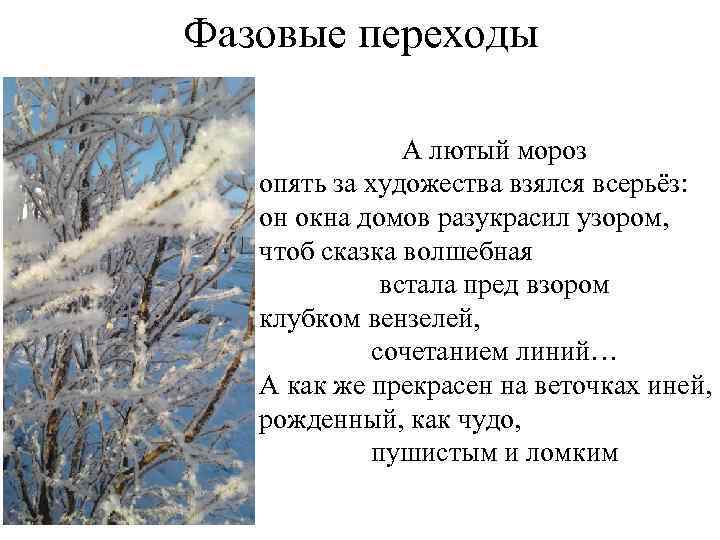Фазовые переходы А лютый мороз опять за художества взялся всерьёз: он окна домов разукрасил
