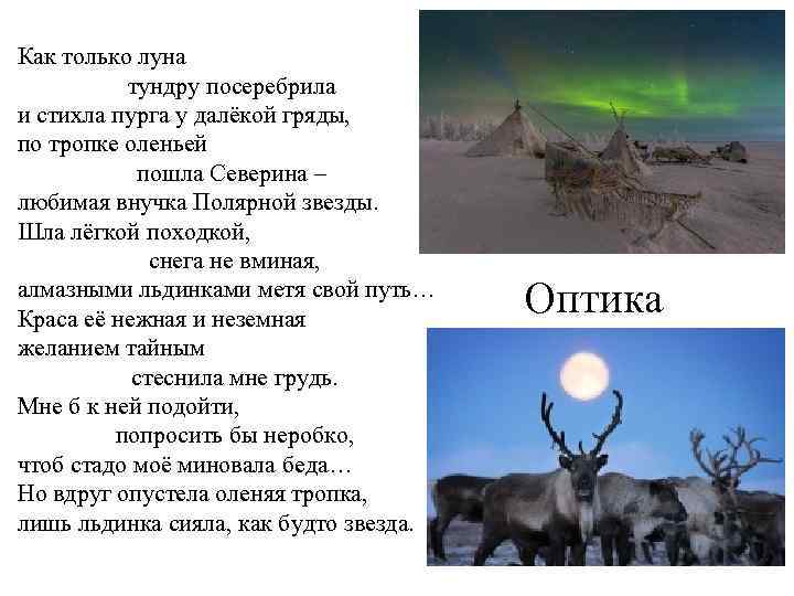 Как только луна тундру посеребрила и стихла пурга у далёкой гряды, по тропке оленьей