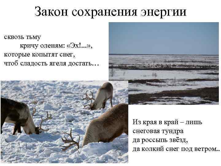 Закон сохранения энергии сквозь тьму кричу оленям: «Эх!. . . » , которые копытят
