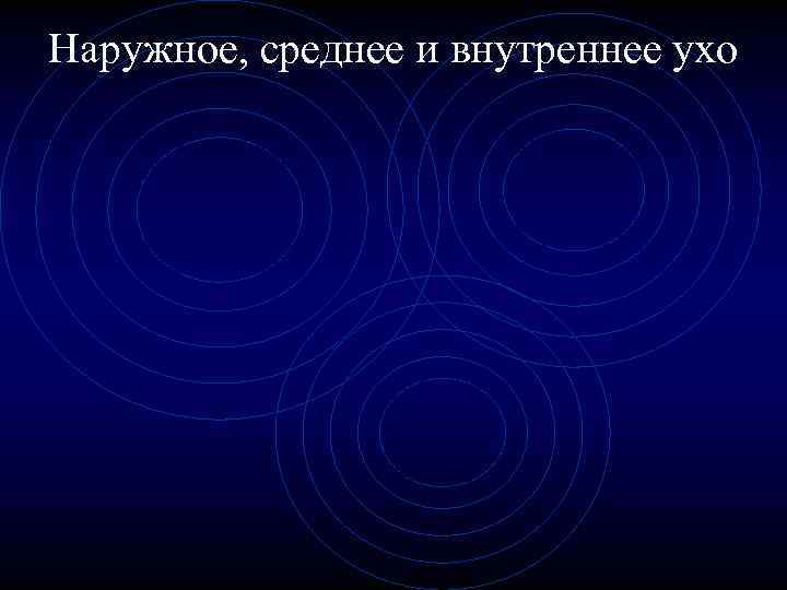 Наружное, среднее и внутреннее ухо 