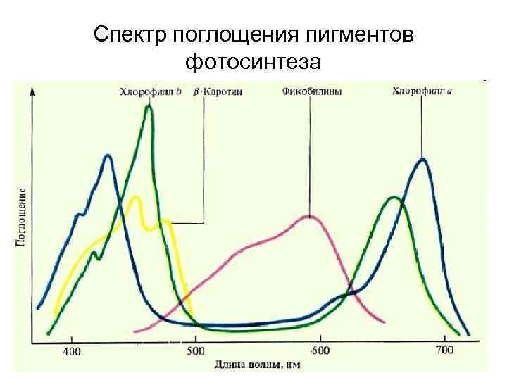 На рисунке приведен спектр поглощения смеси паров неизвестных металлов внизу спектры поглощения