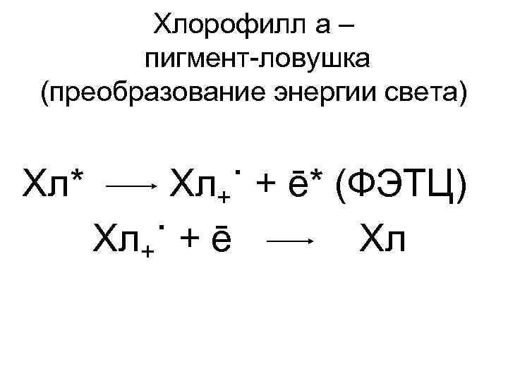 Хлорофилл а – пигмент-ловушка (преобразование энергии света) Хл* Хл+˙ + ē* (ФЭТЦ) Хл+˙ +