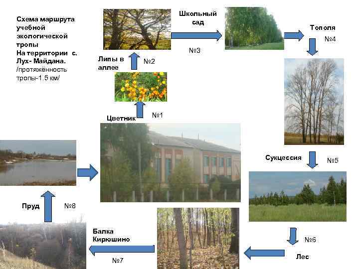 Схема маршрута учебной экологической тропы На территории с. Лух- Майдана. /протяжённость тропы-1. 5 км/