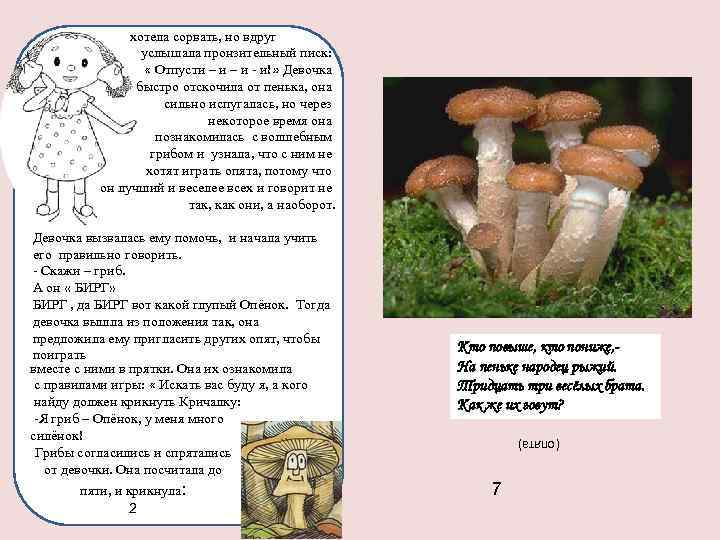 хотела сорвать, но вдруг услышала пронзительный писк: « Отпусти – и - и!» Девочка