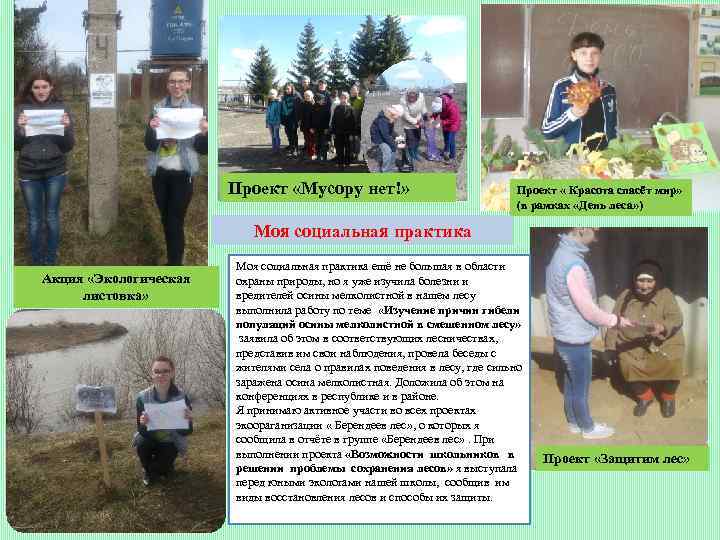 Проект «Мусору нет!» Проект « Красота спасёт мир» (в рамках «День леса» ) Моя