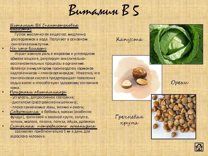 Витамин В 5 • • Витамин В 5 (пантотеновая кислота) Густое маслянистое вещество, медленно