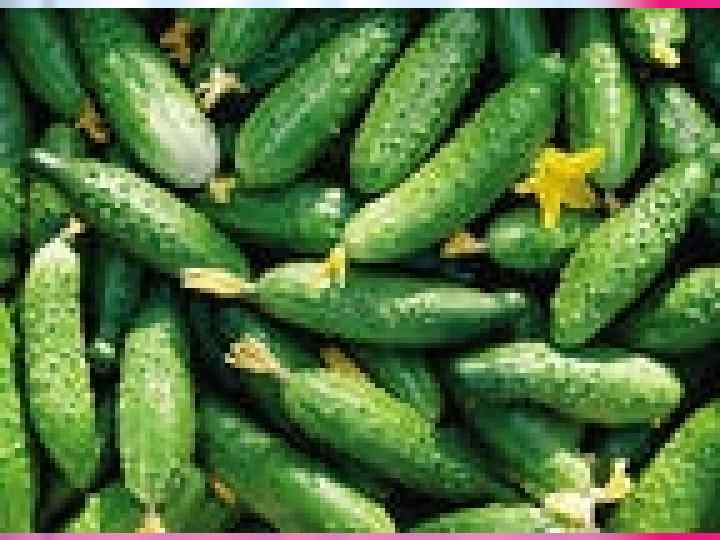 Выступления детей 