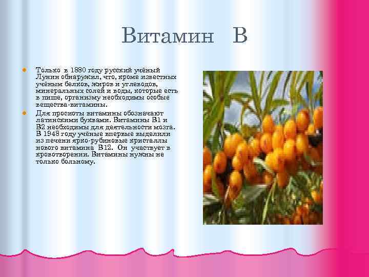 Витамин В l l Только в 1880 году русский учёный Лунин обнаружил, что, кроме