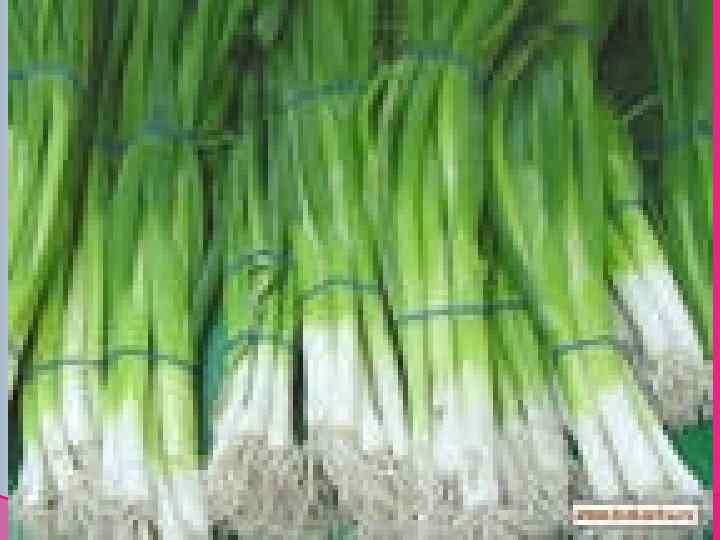 Реклама овощей. 