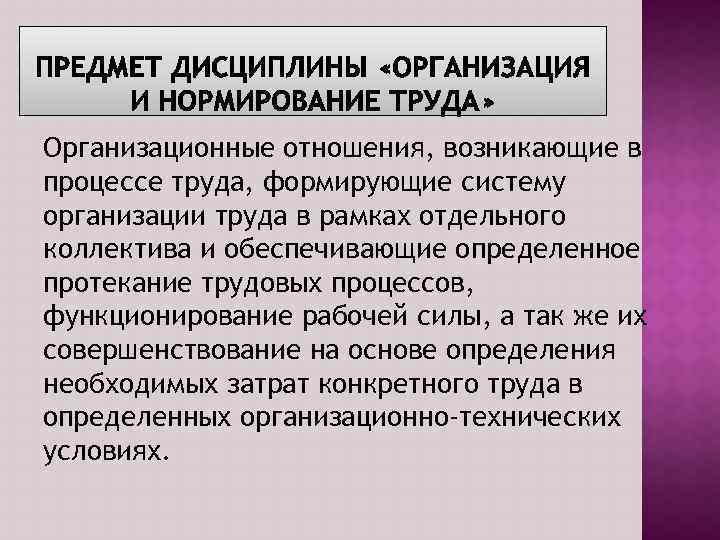 Организационные отношения, возникающие в процессе труда, формирующие систему организации труда в рамках отдельного коллектива