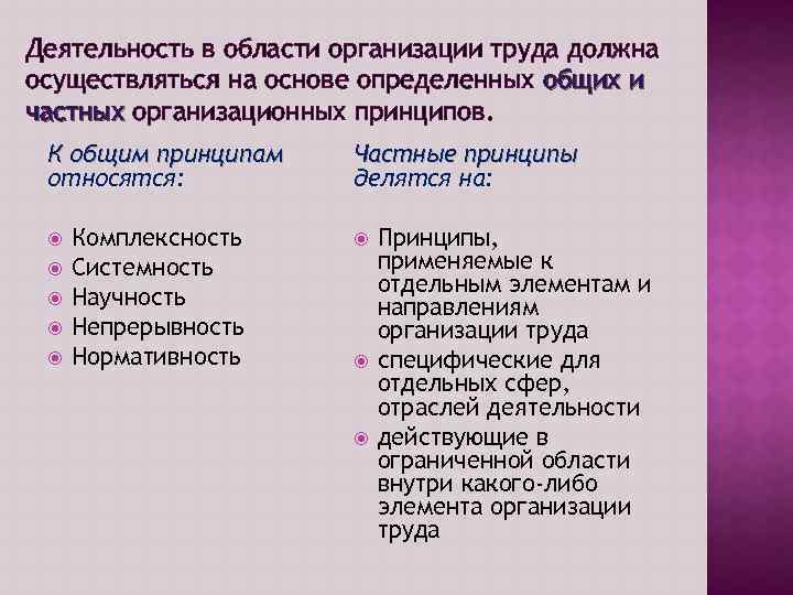 Деятельность в области организации труда должна осуществляться на основе определенных общих и частных организационных