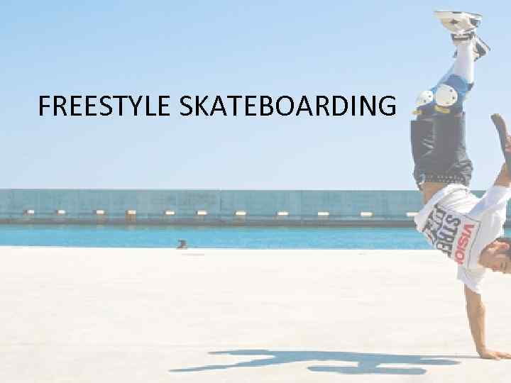 FREESTYLE SKATEBOARDING 