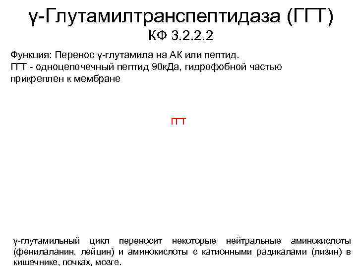 γ-Глутамилтранспептидаза (ГГТ) КФ 3. 2. 2. 2 Функция: Перенос γ-глутамила на АК или пептид.