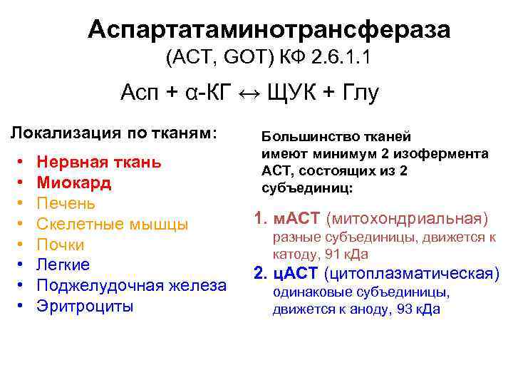 Аст это. Аспартатаминотрансфераза (АСТ). Аспартатаминотрансфераза строение. АСАТ (АСТ, аспартатаминотрансфераза, AST, SGOT, Aspartate aminotransferase) норма. Аспартатаминотрансфераза реакция.