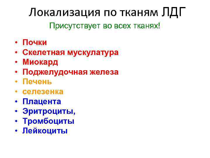 Локализация по тканям ЛДГ Присутствует во всех тканях! • • • Почки Скелетная мускулатура