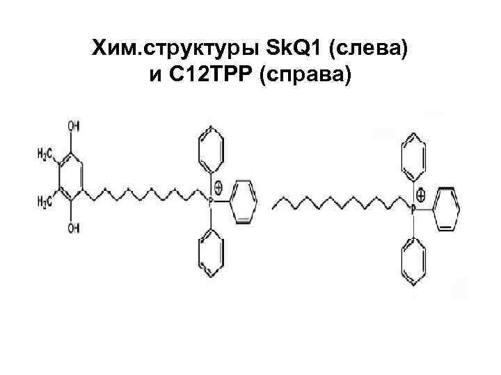 Хим. структуры Sk. Q 1 (слева) и С 12 ТРР (справа) 