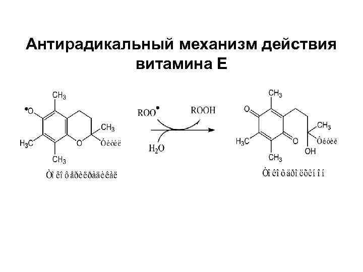 Антирадикальный механизм действия витамина Е 