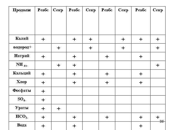 Продолж Реабс Калий + водород+ Натрий Хлор Фосфаты SO 4 Ураты HCO 3 Вода