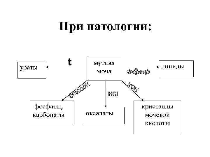 При патологии: 53 