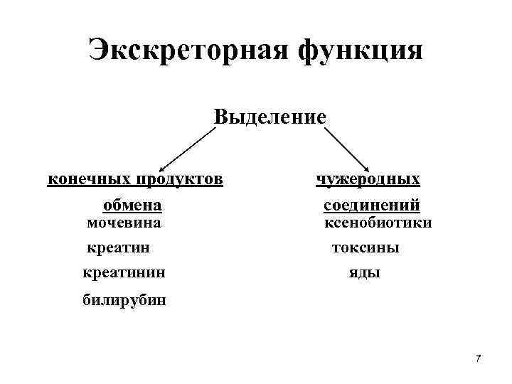 Экскреторная функция Выделение конечных продуктов чужеродных обмена соединений мочевина ксенобиотики креатинин токсины яды билирубин