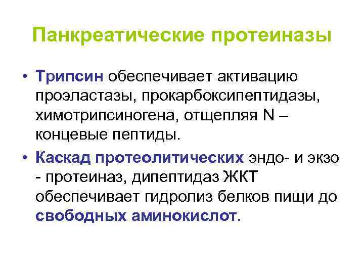 Панкреатические протеиназы • Трипсин обеспечивает активацию проэластазы, прокарбоксипептидазы, химотрипсиногена, отщепляя N – концевые пептиды.