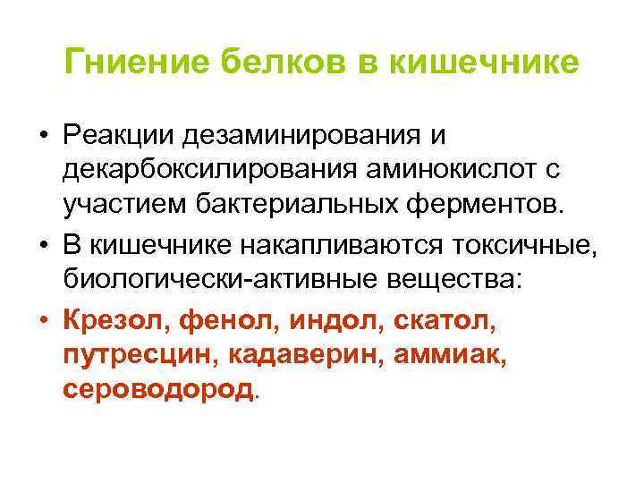 Гниение белков в кишечнике • Реакции дезаминирования и декарбоксилирования аминокислот с участием бактериальных ферментов.