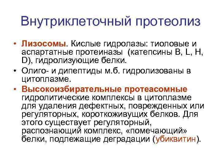 Внутриклеточный протеолиз • Лизосомы. Кислые гидролазы: тиоловые и аспартатные протеиназы (катепсины В, L, H,