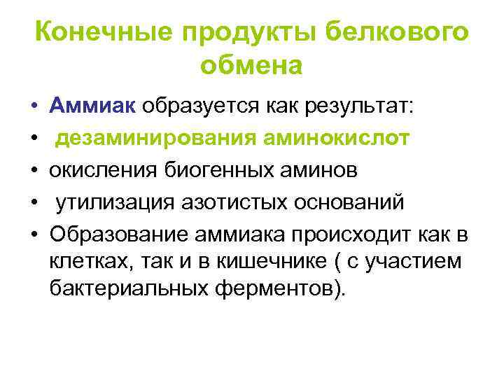 Конечные продукты белкового обмена • • • Аммиак образуется как результат: дезаминирования аминокислот окисления