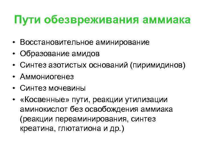 Пути обезвреживания аммиака • • • Восстановительное аминирование Образование амидов Синтез азотистых оснований (пиримидинов)