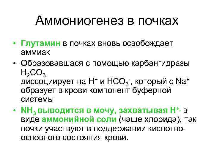 Аммониогенез в почках • Глутамин в почках вновь освобождает аммиак • Образовавшася с помощью