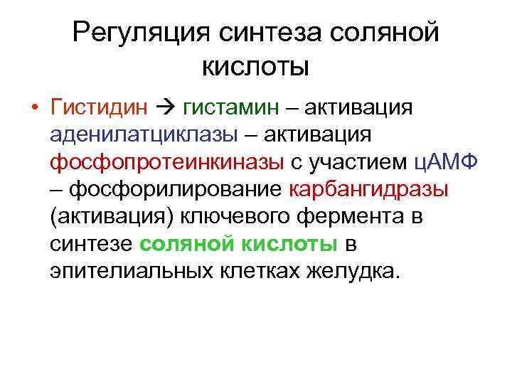 Регуляция синтеза соляной кислоты • Гистидин гистамин – активация аденилатциклазы – активация фосфопротеинкиназы с