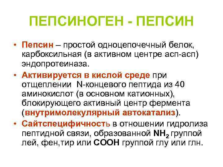 ПЕПСИНОГЕН - ПЕПСИН • Пепсин – простой одноцепочечный белок, карбоксильная (в активном центре асп-асп)