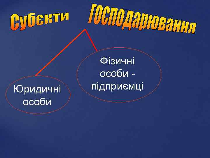 Юридичні особи Фізичні особи підприємці 