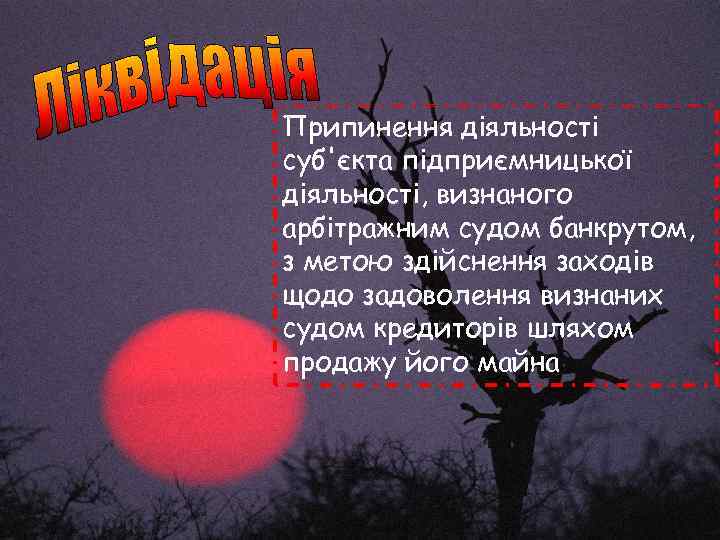 Припинення діяльності суб'єкта підприємницької діяльності, визнаного арбітражним судом банкрутом, з метою здійснення заходів щодо