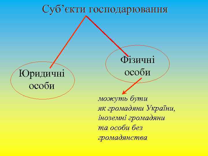 Суб’єкти господарювання Юридичні особи Фізичні особи можуть бути як громадяни України, іноземні громадяни та