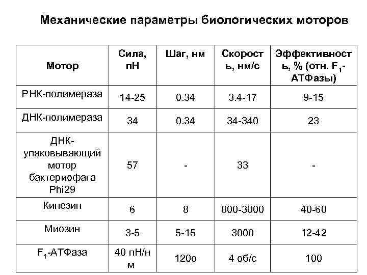 Механические параметры биологических моторов Шаг, нм Мотор Сила, п. Н Скорост ь, нм/с Эффективност